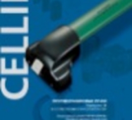 cellini.jpg